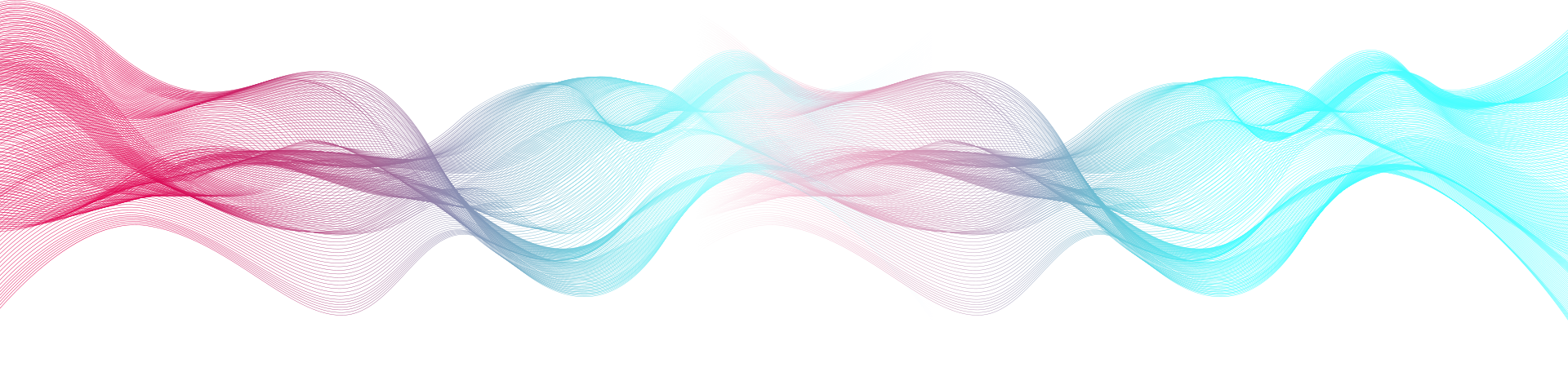 Section Title Divider